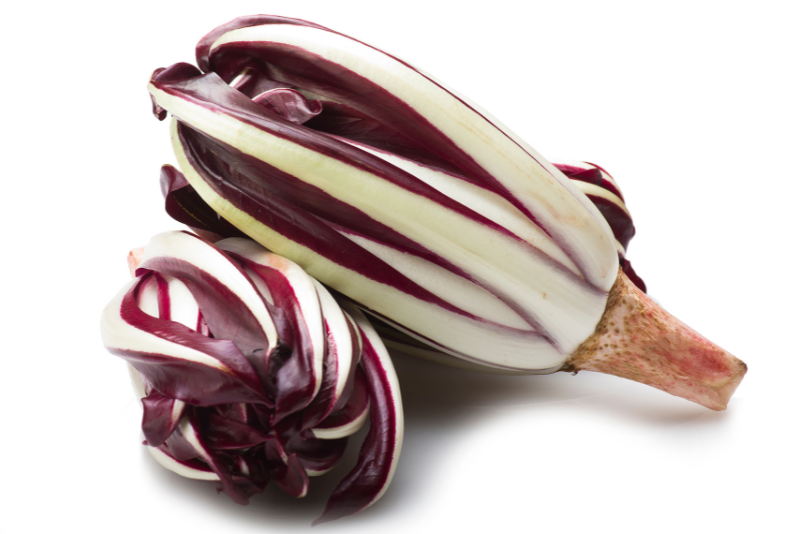 radicchio tardivo